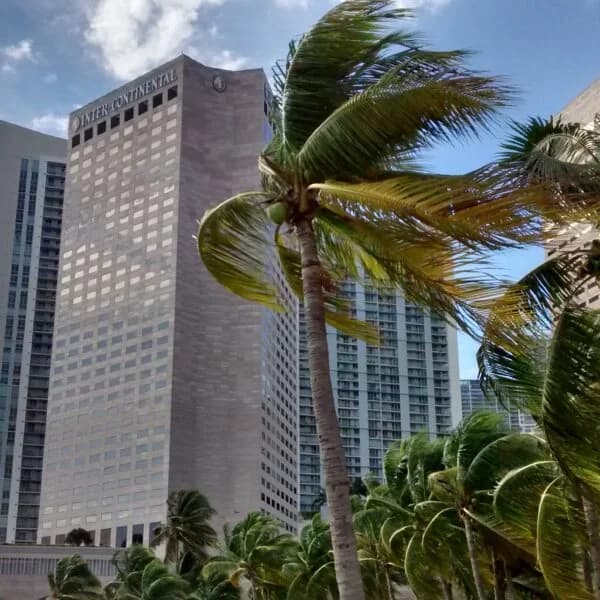 Visiter la Floride en 10 jours : où partir et que visiter ?